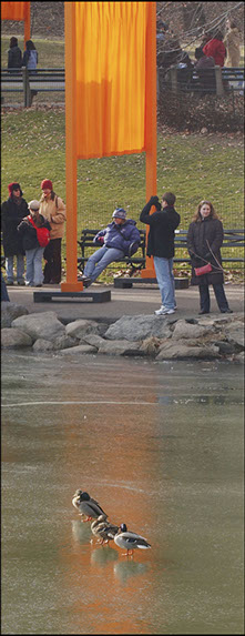 The Gates, Central Park, New York City, Christo and Jean-Claude, Installation art, Linda Johnson Photography, Linda Johnson Photographs.