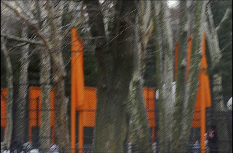 The Gates, Central Park, New York City, Christo and Jean-Claude, Installation art, Linda Johnson Photography, Linda Johnson Photographs.