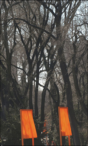 The Gates, Central Park, New York City, Christo and Jean-Claude, Installation art, Linda Johnson Photography, Linda Johnson Photographs.